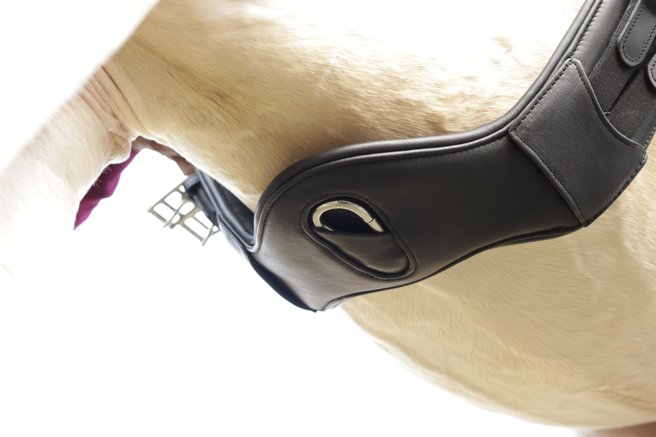 Temple ultra soft leather short narrow dressage girth with carabiner